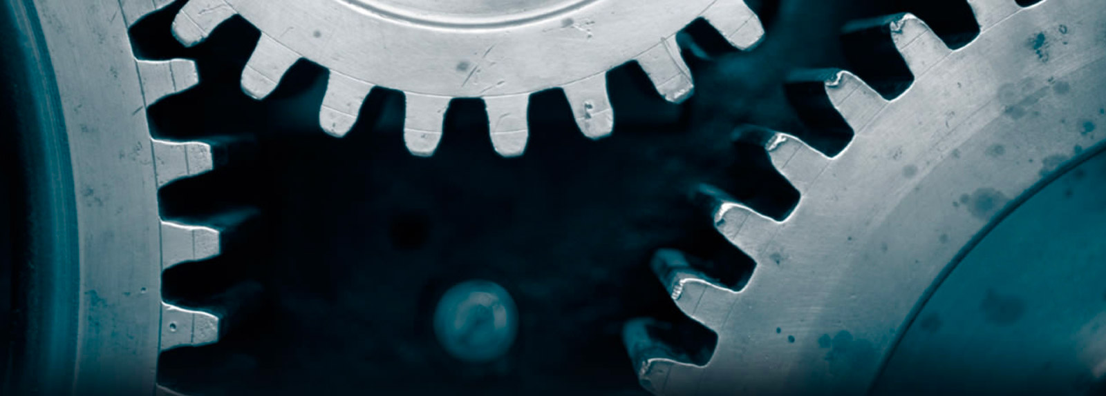 banner6
